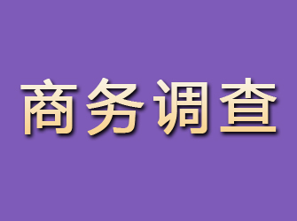 平果商务调查